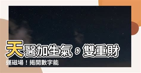 生氣數字組合|【生氣數字】解密生氣數字：揭開財富與運勢的奧秘！